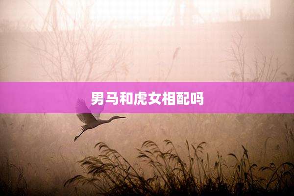 男马和虎女相配吗