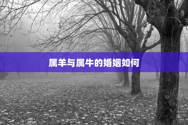 属羊与属牛的婚姻如何