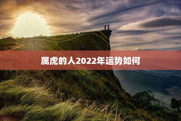 属虎的人2022年运势如何
