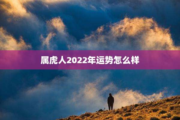 属虎人2022年运势怎么样