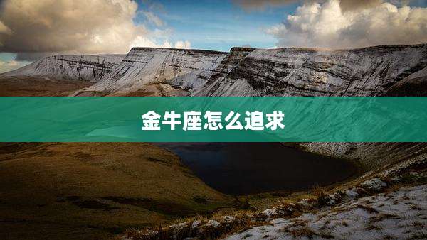 金牛座怎么追求