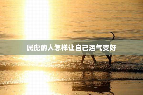 属虎的人怎样让自己运气变好