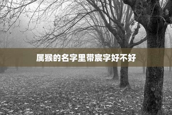 属猴的名字里带宸字好不好