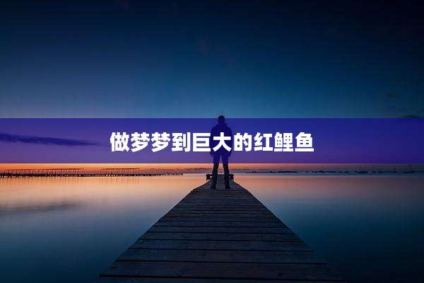 做梦梦到巨大的红鲤鱼