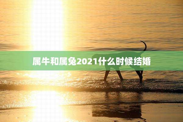 属牛和属兔2021什么时候结婚