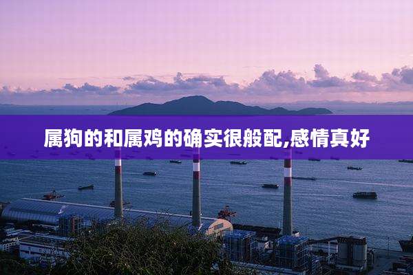 属狗的和属鸡的确实很般配,感情真好