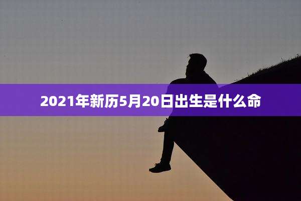 2021年新历5月20日出生是什么命