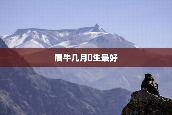 属牛几月岀生最好