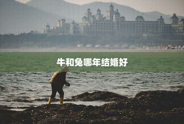 牛和兔哪年结婚好