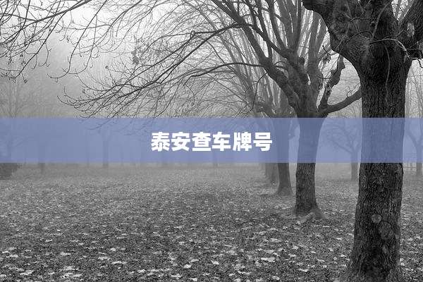 泰安查车牌号