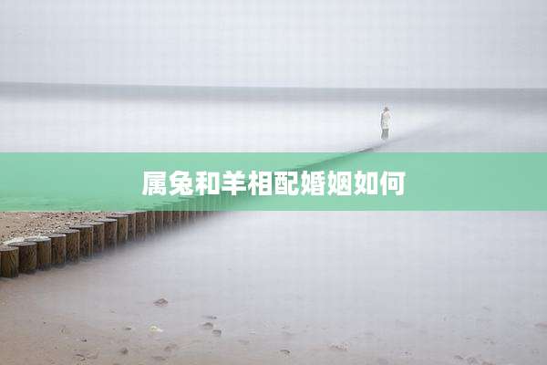 属兔和羊相配婚姻如何