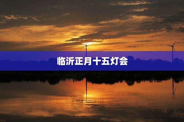 临沂正月十五灯会