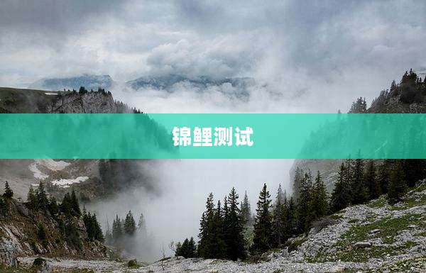 锦鲤测试