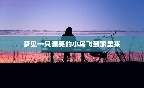 梦见一只漂亮的小鸟飞到家里来