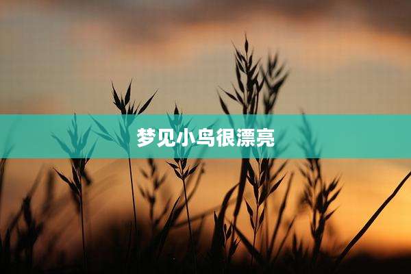 梦见小鸟很漂亮