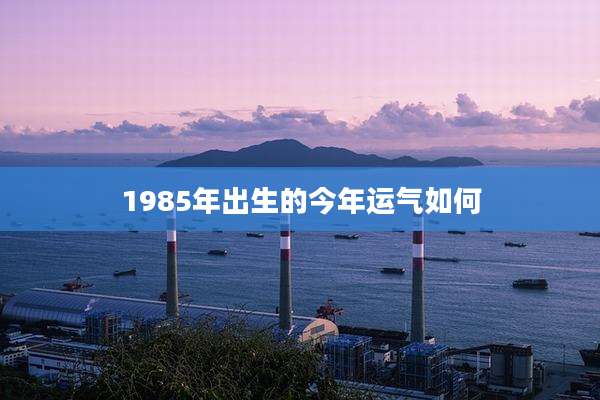 1985年出生的今年运气如何