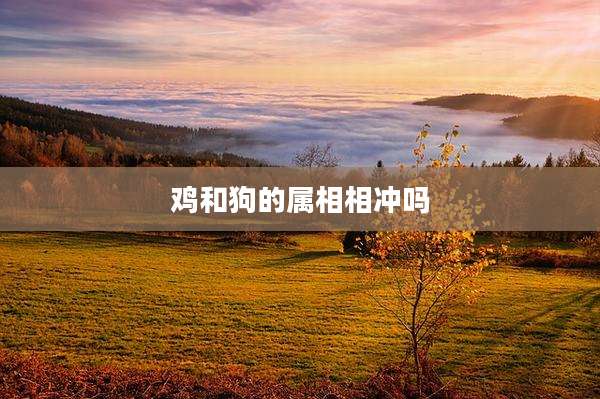鸡和狗的属相相冲吗