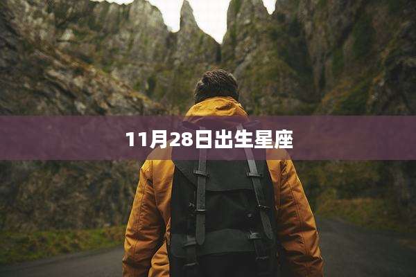 11月28日出生星座