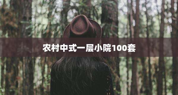 农村中式一层小院100套