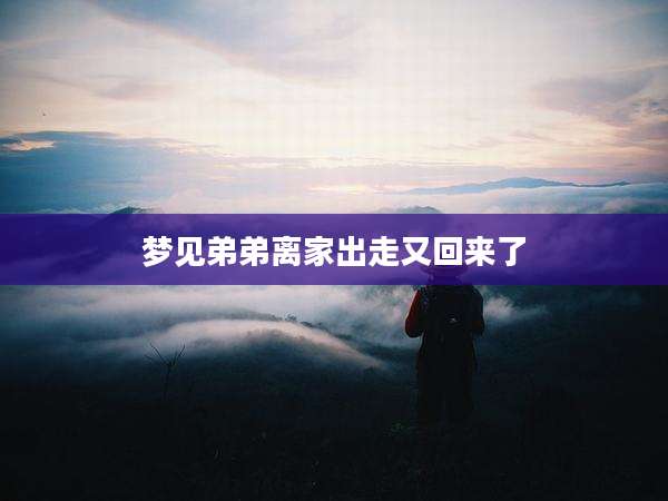 梦见弟弟离家出走又回来了