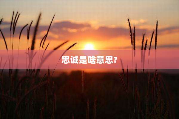 忠诚是啥意思?