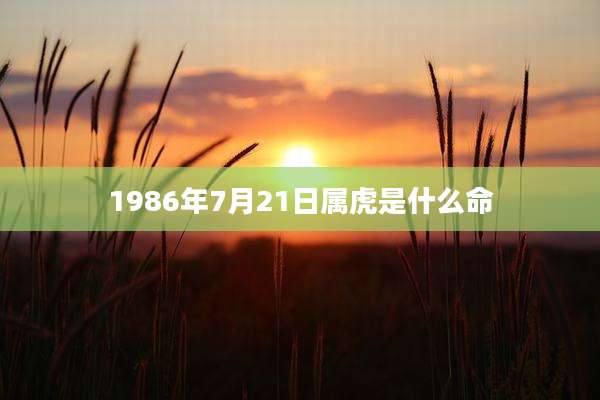 1986年7月21日属虎是什么命