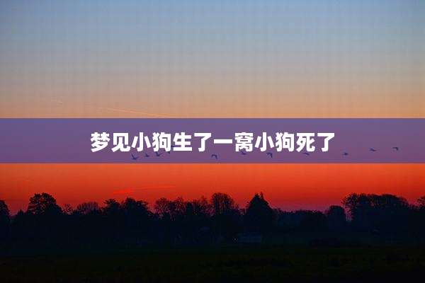 梦见小狗生了一窝小狗死了