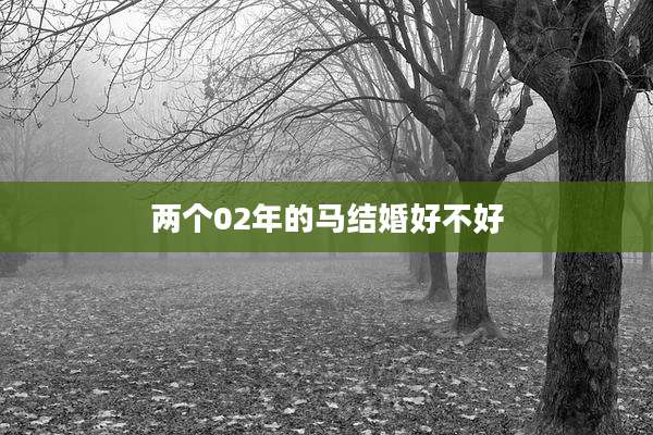 两个02年的马结婚好不好