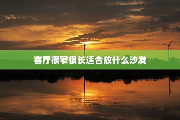 客厅很窄很长适合放什么沙发