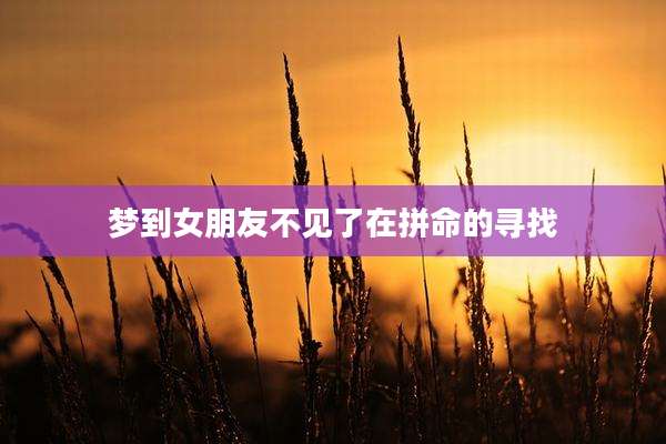 梦到女朋友不见了在拼命的寻找