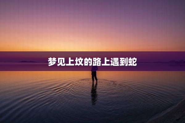梦见上坟的路上遇到蛇