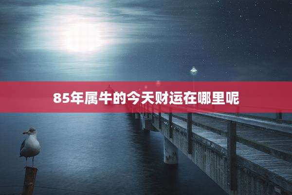 85年属牛的今天财运在哪里呢