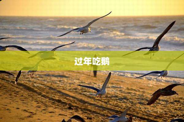 过年吃鹅