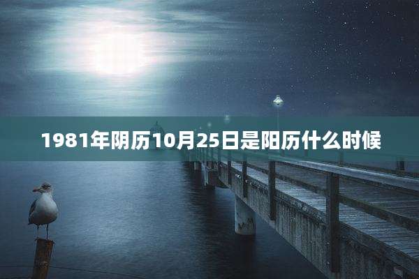1981年阴历10月25日是阳历什么时候