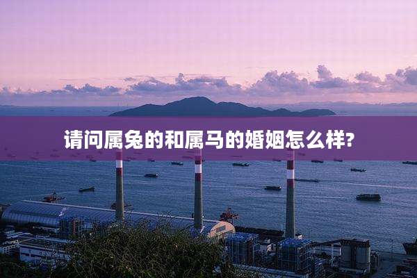 请问属兔的和属马的婚姻怎么样?