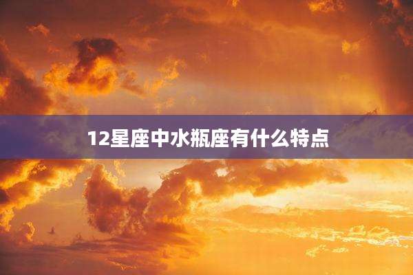 12星座中水瓶座有什么特点