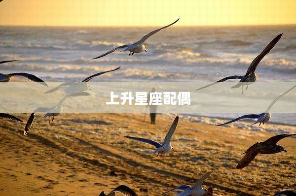 上升星座配偶