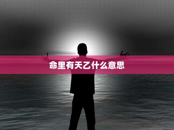 命里有天乙什么意思