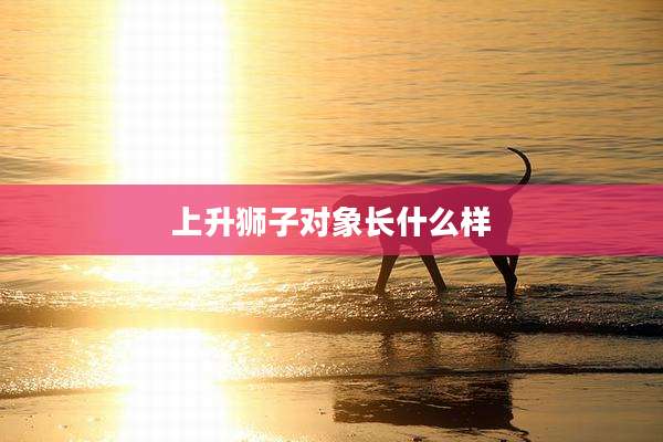 上升狮子对象长什么样