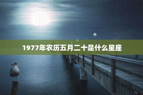 1977年农历五月二十是什么星座