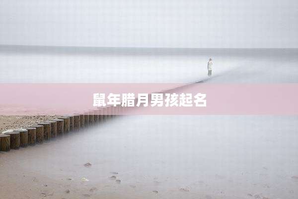 鼠年腊月男孩起名
