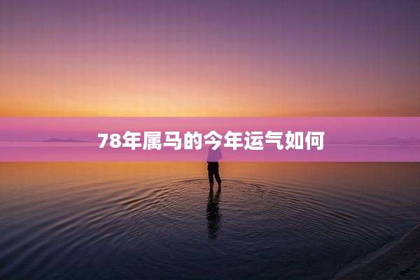78年属马的今年运气如何
