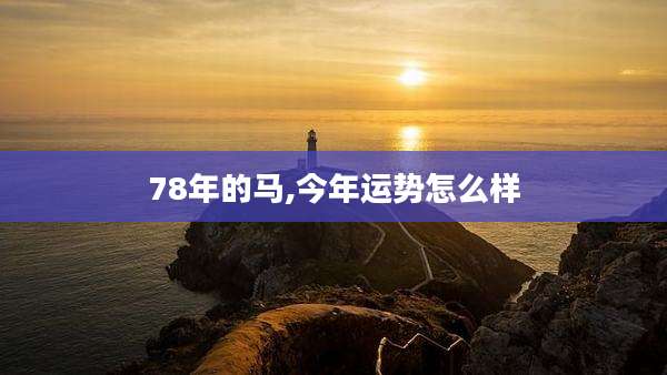 78年的马,今年运势怎么样