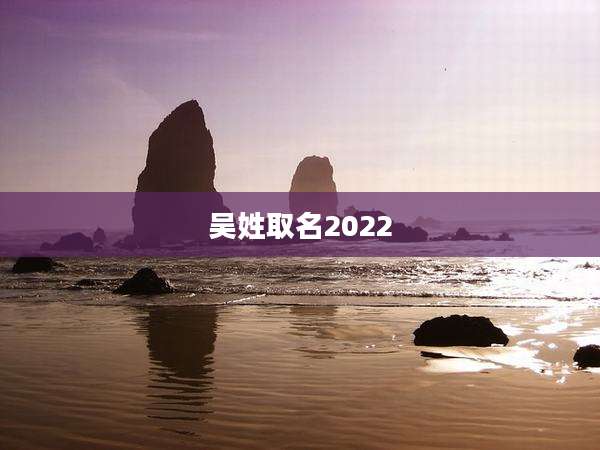 吴姓取名2022