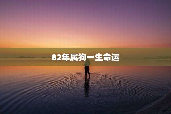 82年属狗一生命运