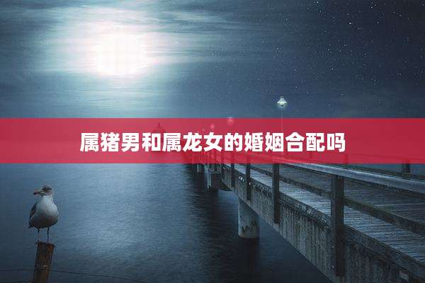 属猪男和属龙女的婚姻合配吗