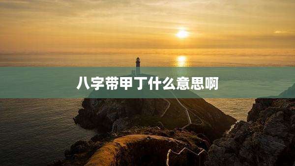八字带甲丁什么意思啊