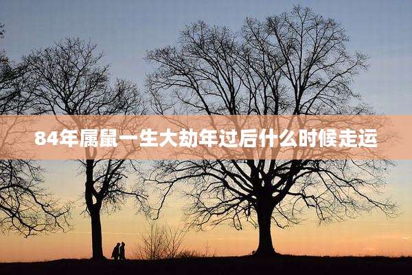 84年属鼠一生大劫年过后什么时候走运