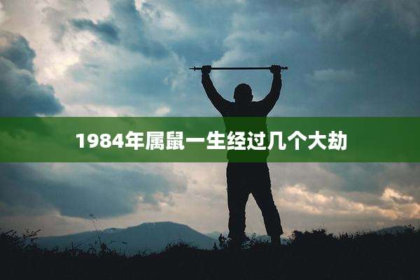 1984年属鼠一生经过几个大劫
