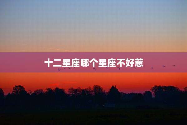 十二星座哪个星座不好惹